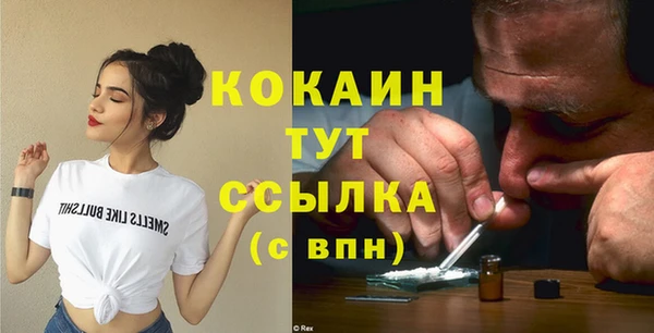 шишки Белоозёрский