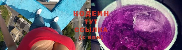 шишки Белоозёрский