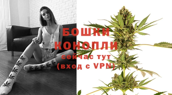 прущая мука Богородицк