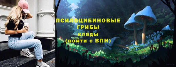 спайс Богданович