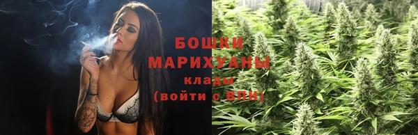 спайс Богданович