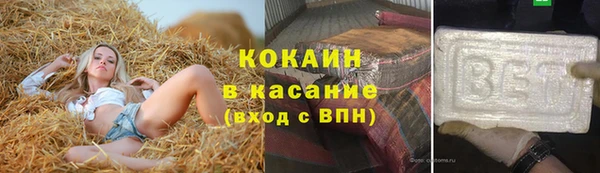 шишки Белоозёрский